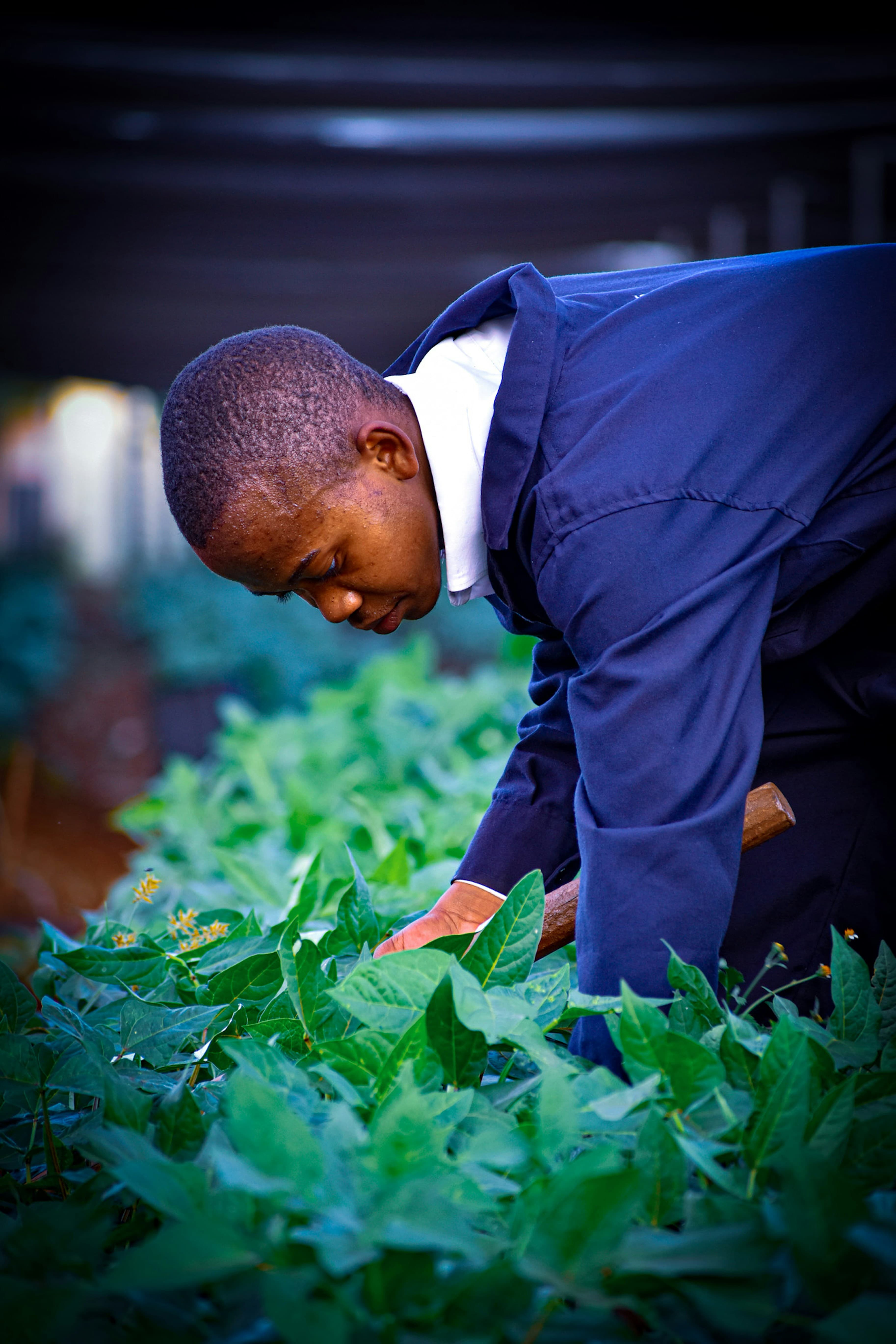 Agric