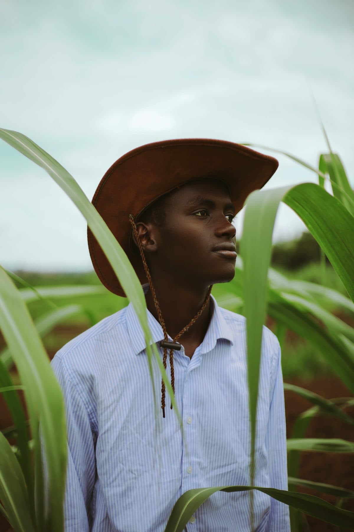 Farmer Boy